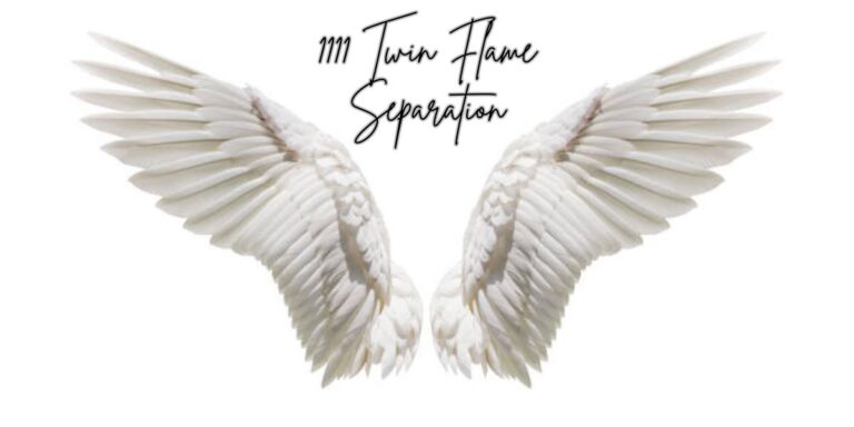 1111 Twin Flame Separation